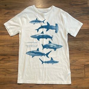 J.Crew crewcuts Boys Tshirt